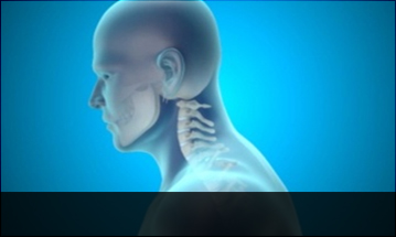 창원자생한방병원 목질환 일자목증후군-정상적인 C자형 목뼈 모습입니다.
